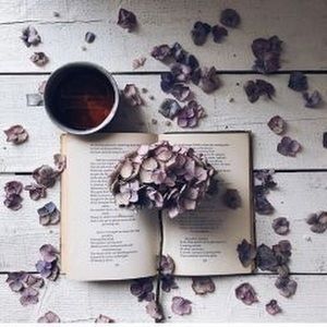 Meet your Posher, Savannah